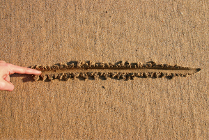 line in the sand